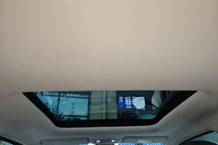 Used Leapmotor T03 2020 400 Luxury Edition Headliner