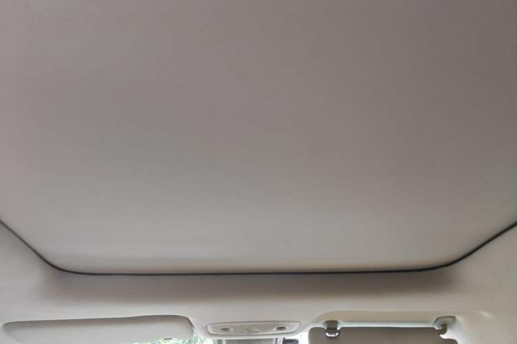 Used Leapmotor T03 2020 400 Luxury Edition Headliner