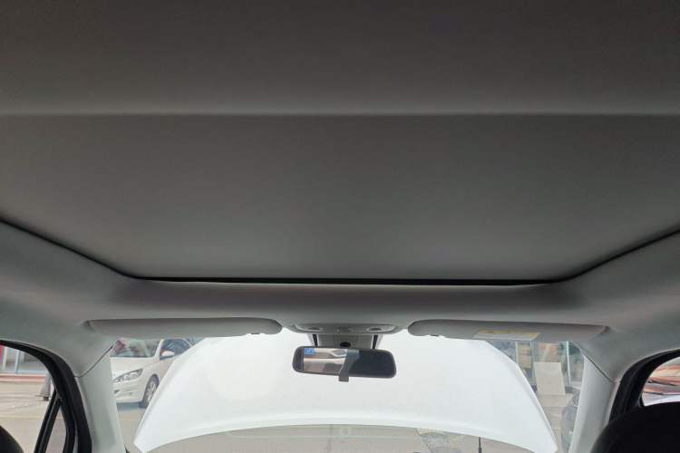 Used Leapmotor T03 2020 400 Luxury Edition Headliner