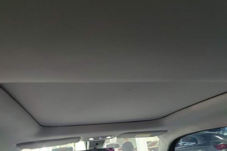 Used Leapmotor T03 2020 400 Lite Edition Headliner
