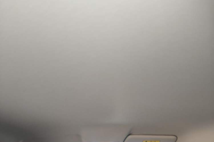 Used Leapmotor T03 2020 400 Lite Edition Headliner