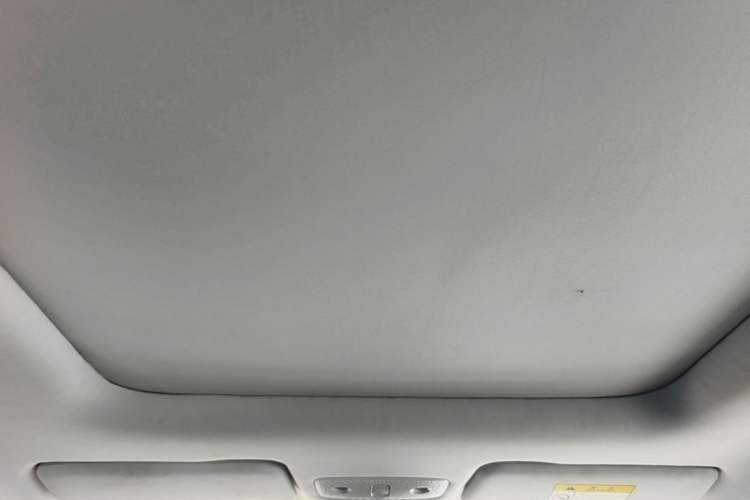 Used Leapmotor T03 2020 400 Luxury Edition Headliner