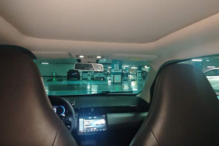 Used Leapmotor T03 2020 400 Luxury Edition Headliner