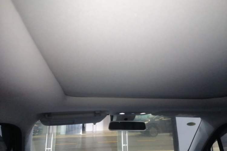 Used Leapmotor T03 2020 400 Luxury Edition Headliner