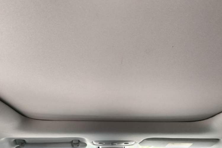 Used Leapmotor T03 2020 400 Luxury Edition Headliner