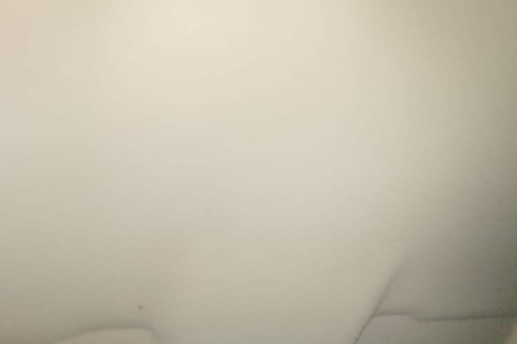 Used Leapmotor T03 2020 400 Lite Edition Headliner