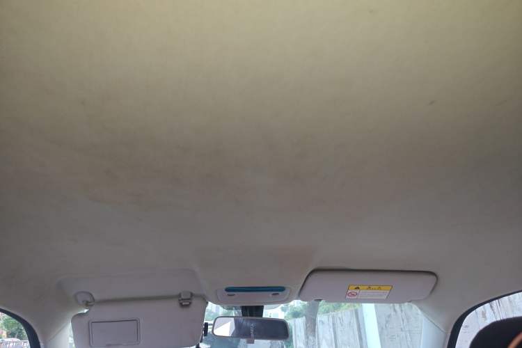 Used Leapmotor T03 2020 400 Standard Edition Headliner