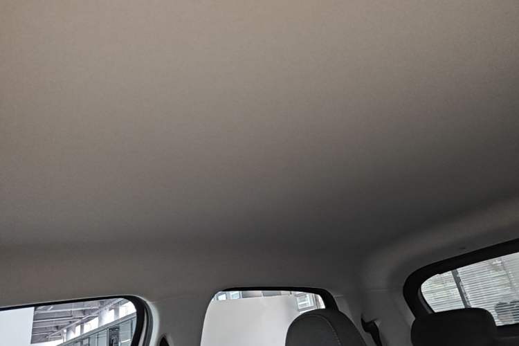 Used Leapmotor T03 2020 400 Lite Edition Headliner