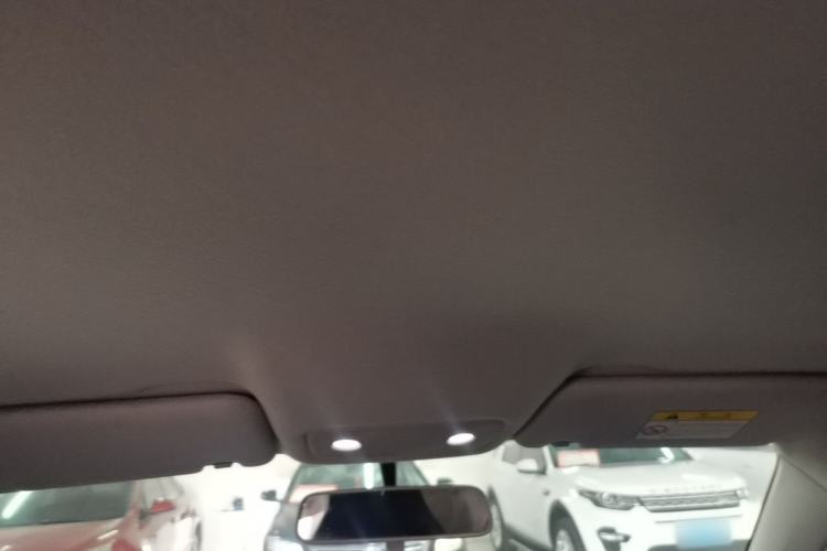 Used Leapmotor T03 2020 400 Lite Edition Headliner