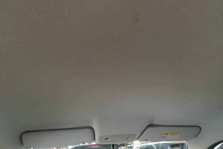 Used Leapmotor T03 2020 400 Lite Edition Headliner