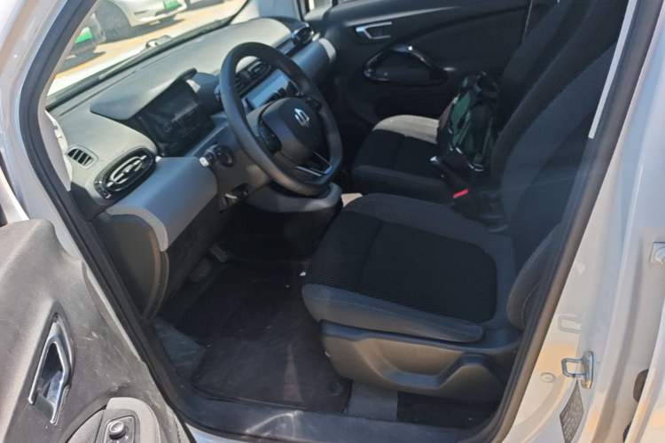 Used Leapmotor T03 2020 400 Lite Edition Left Front Seat