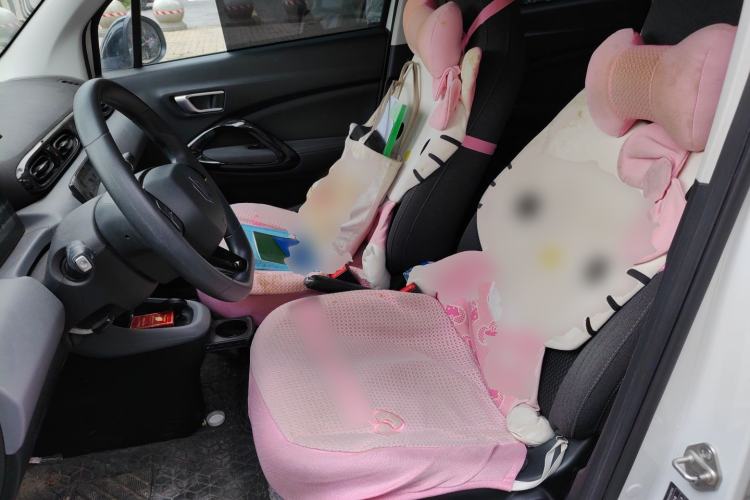 Used Leapmotor T03 2020 400 Lite Edition Left Front Seat