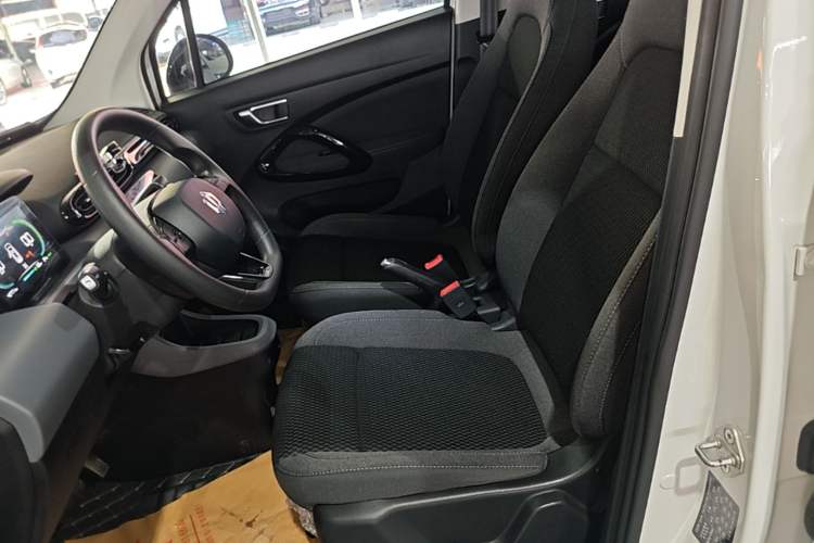 Used Leapmotor T03 2020 400 Lite Edition Left Front Seat