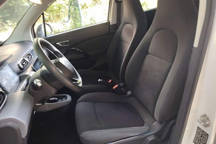 Used Leapmotor T03 2020 400 Lite Edition Left Front Seat