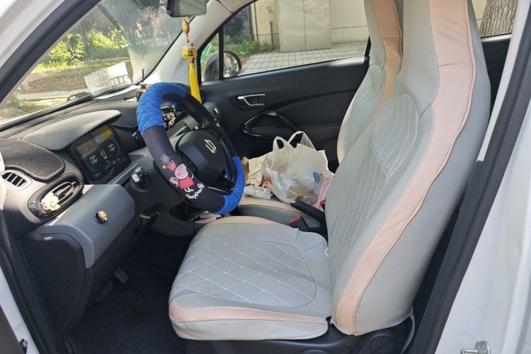 Used Leapmotor T03 2020 400 Lite Edition Left Front Seat
