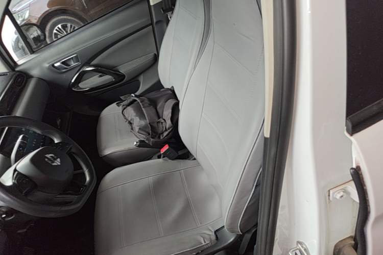 Used Leapmotor T03 2020 400 Lite Edition Left Front Seat