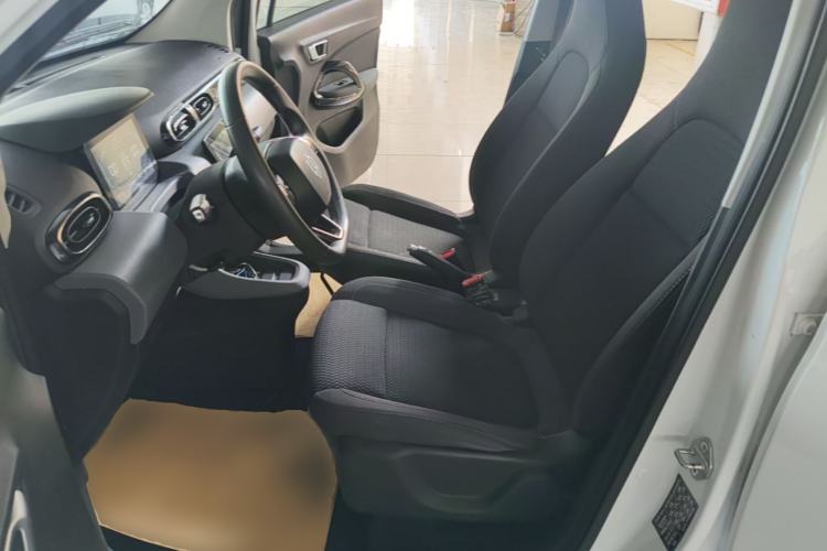 Used Leapmotor T03 2020 400 Lite Edition Left Front Seat