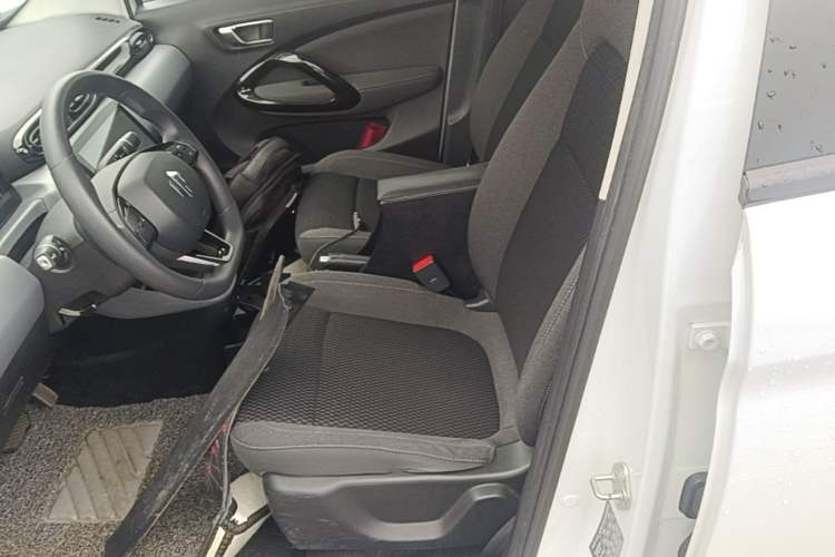 Used Leapmotor T03 2020 400 Standard Edition Left Front Seat