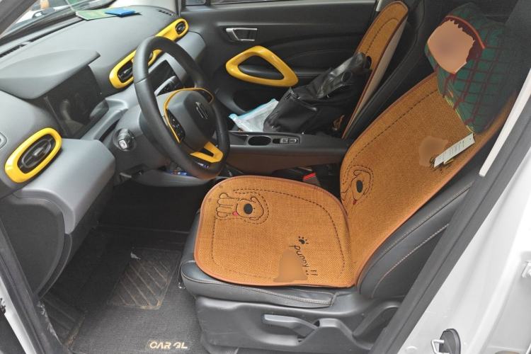 Used Leapmotor T03 2020 400 Luxury Edition Left Front Seat