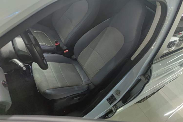 Used Leapmotor T03 2020 400 Lite Edition Left Front Seat
