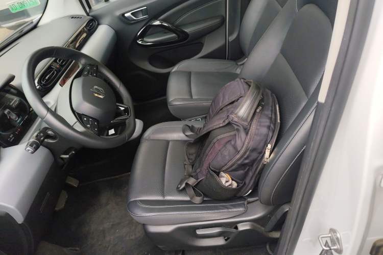 Used Leapmotor T03 2020 400 Luxury Edition Left Front Seat