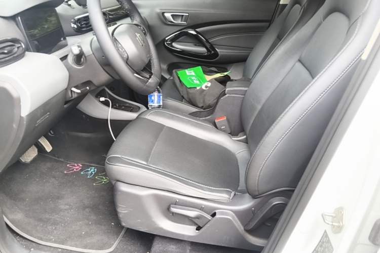 Used Leapmotor T03 2020 400 Luxury Edition Left Front Seat