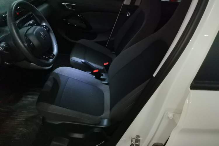 Used Leapmotor T03 2020 400 Lite Edition Left Front Seat