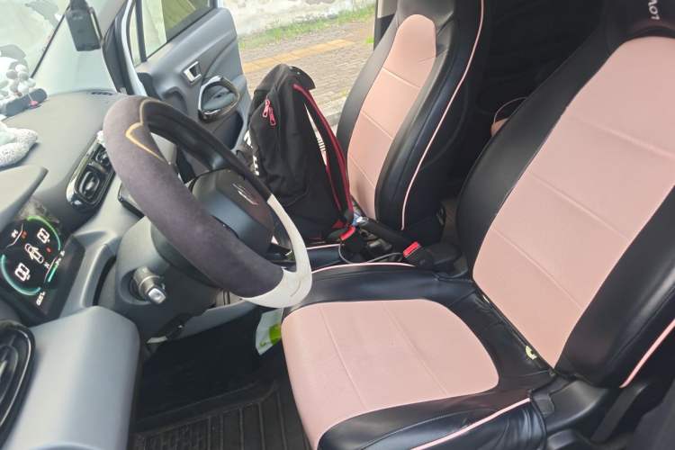 Used Leapmotor T03 2020 400 Standard Edition Left Front Seat