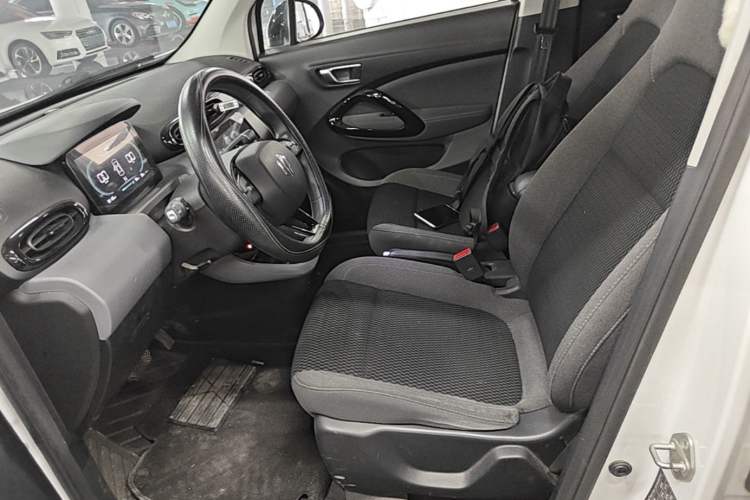 Used Leapmotor T03 2020 400 Lite Edition Left Front Seat