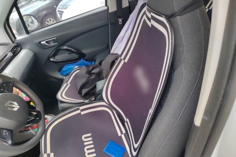 Used Leapmotor T03 2020 400 Lite Edition Left Front Seat