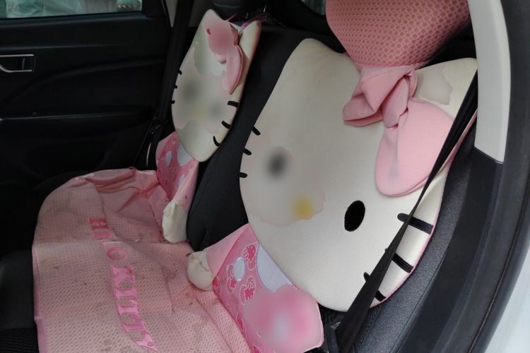 Used Leapmotor T03 2020 400 Lite Edition Left Rear Seat
