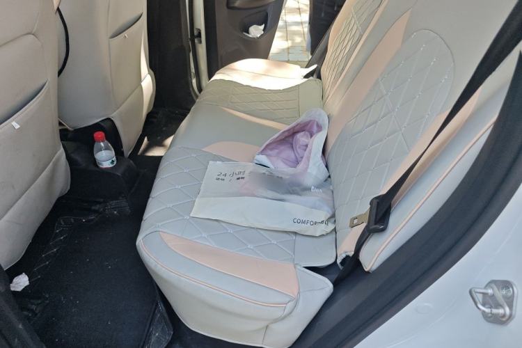 Used Leapmotor T03 2020 400 Lite Edition Left Rear Seat