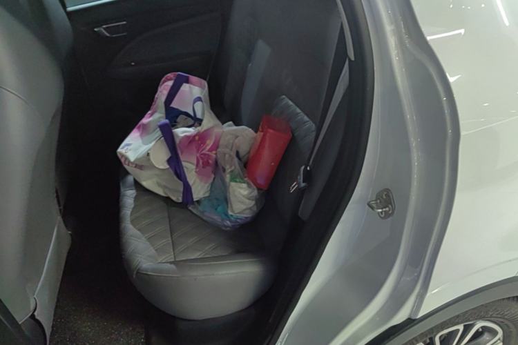 Used Leapmotor T03 2020 400 Lite Edition Left Rear Seat
