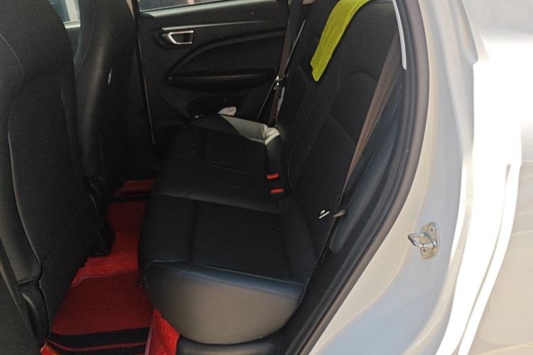 Used Leapmotor T03 2020 400 Luxury Edition Left Rear Seat