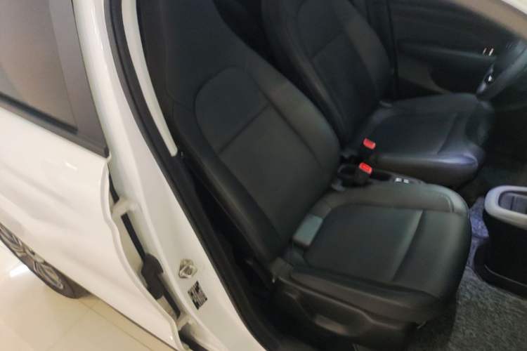 Used Leapmotor T03 2020 400 Luxury Edition Right Front Seat