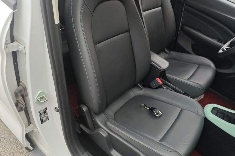 Used Leapmotor T03 2020 400 Luxury Edition Right Front Seat