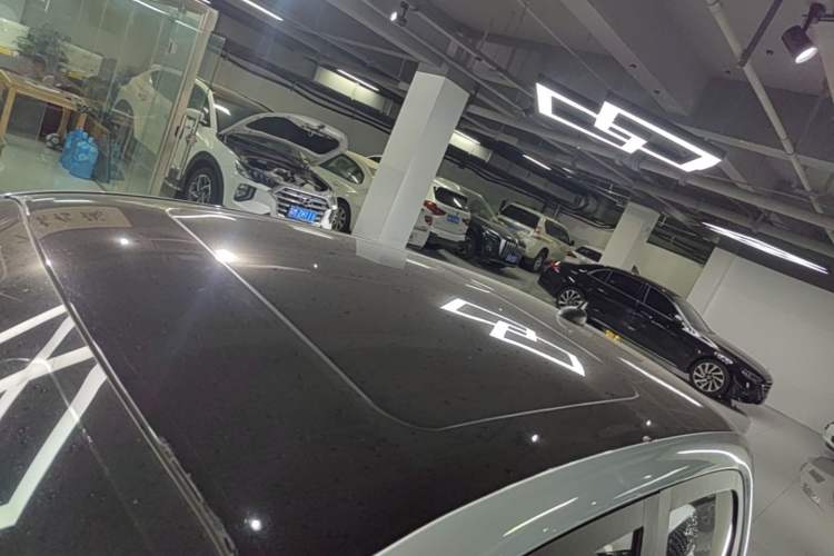 Used Leapmotor T03 2020 400 Lite Edition Roof