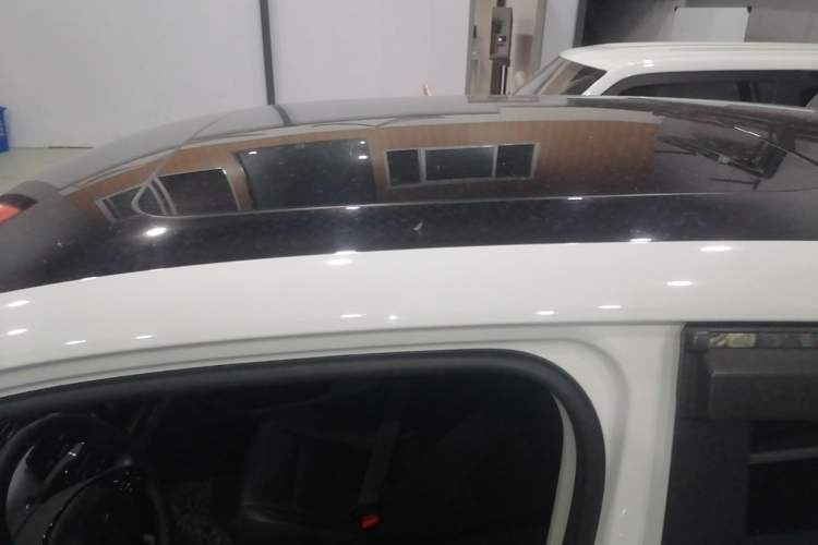 Used Leapmotor T03 2020 400 Luxury Edition Roof