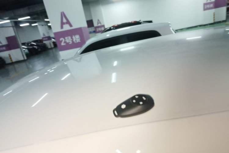 Used Leapmotor T03 2020 400 Lite Edition Roof