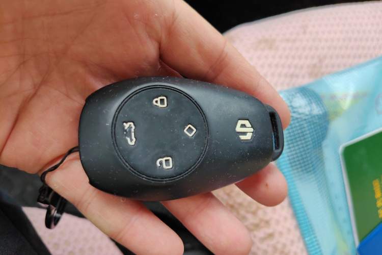 Used Leapmotor T03 2020 400 Lite Edition Vehicle Key