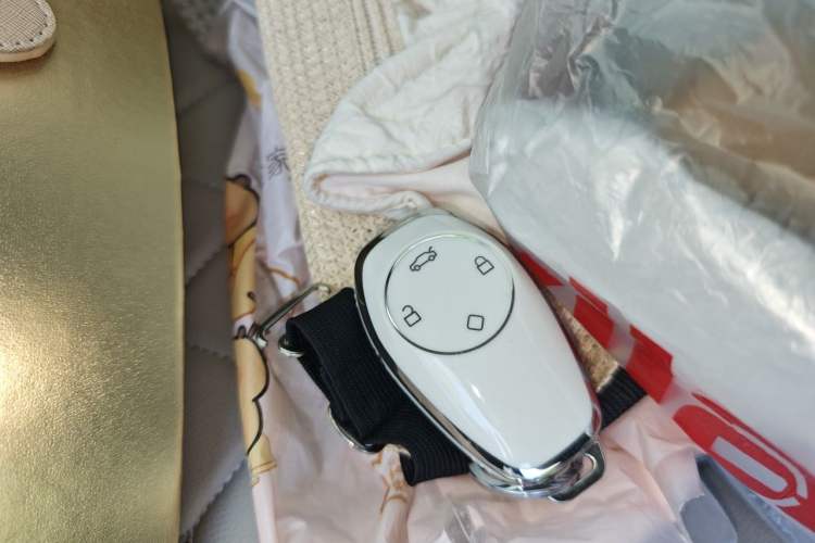 Used Leapmotor T03 2020 400 Lite Edition Vehicle Key