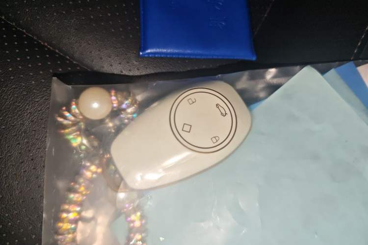 Used Leapmotor T03 2020 400 Luxury Edition Vehicle Key