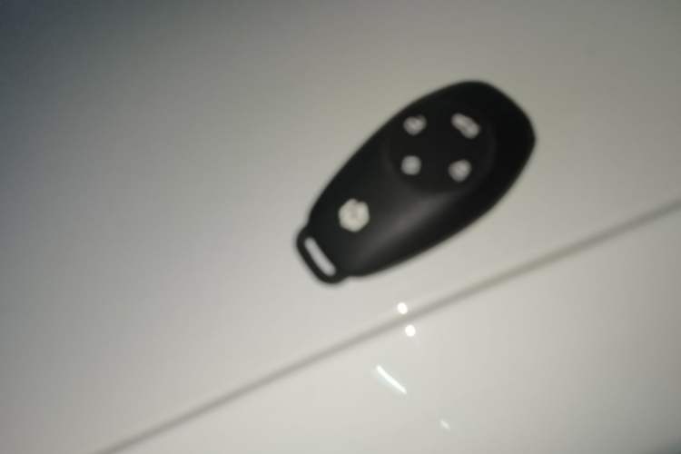 Used Leapmotor T03 2020 400 Lite Edition Vehicle Key