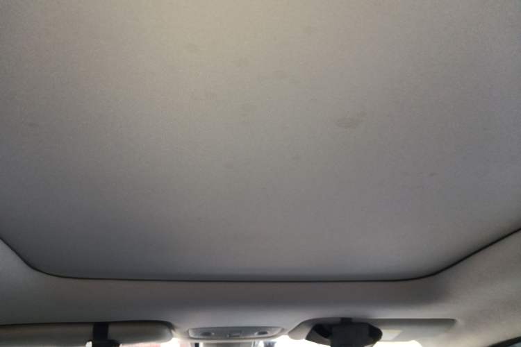 Used Leapmotor T03 2020 400 Luxury Edition Headliner