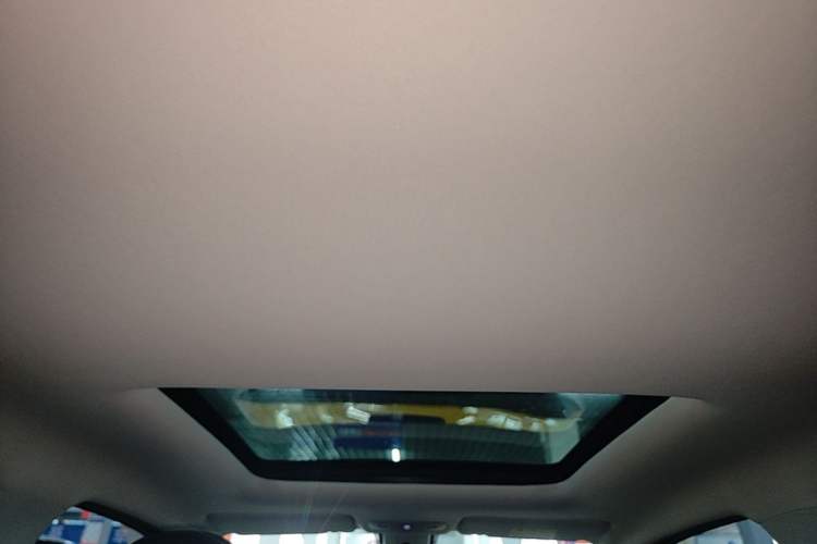 Used Leapmotor T03 2020 400 Luxury Edition Headliner