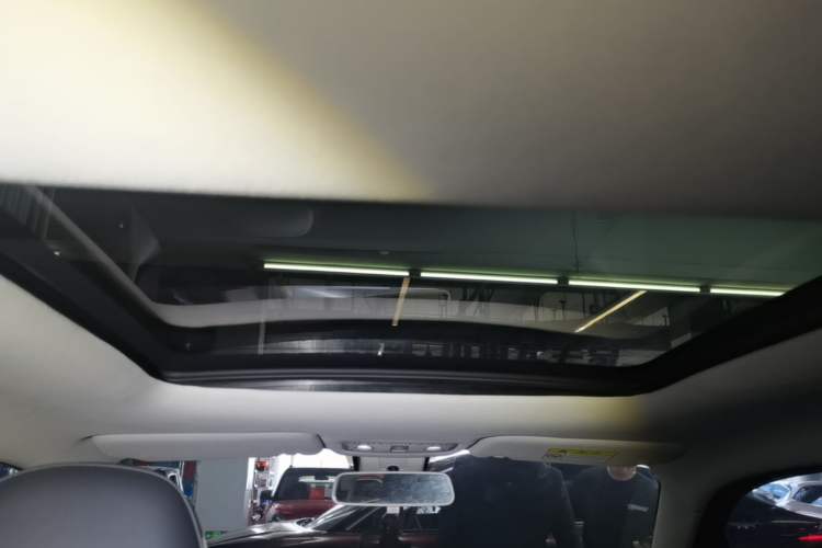 Used Leapmotor T03 2021 400 Luxury Edition Headliner