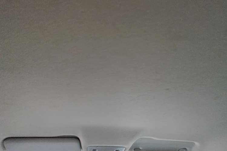 Used Leapmotor T03 2021 400 Lite Edition Lithium Iron Phosphate Headliner