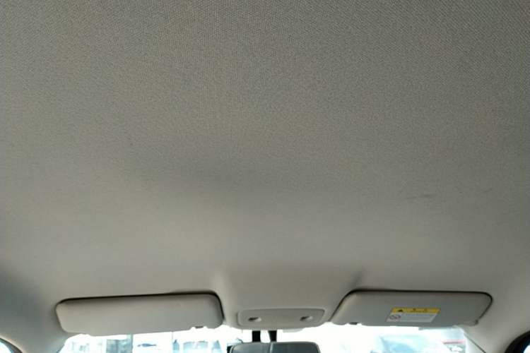 Used Leapmotor T03 2021 400 Lite Edition - Lithium-Ion Battery Headliner