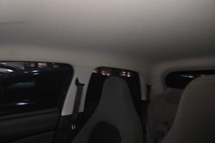 Used Leapmotor T03 2021 400 Lite Edition - Lithium-Ion Battery Headliner