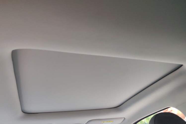 Used Leapmotor T03 2021 400 Comfort Edition Headliner